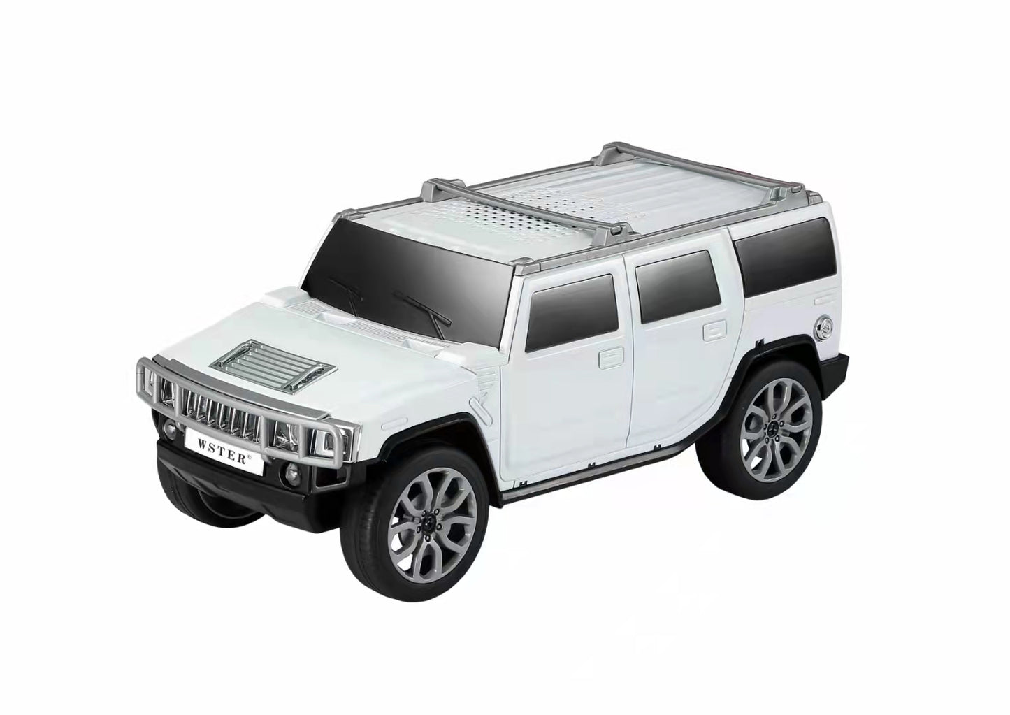 WSTER Music Car Speaker WS-590