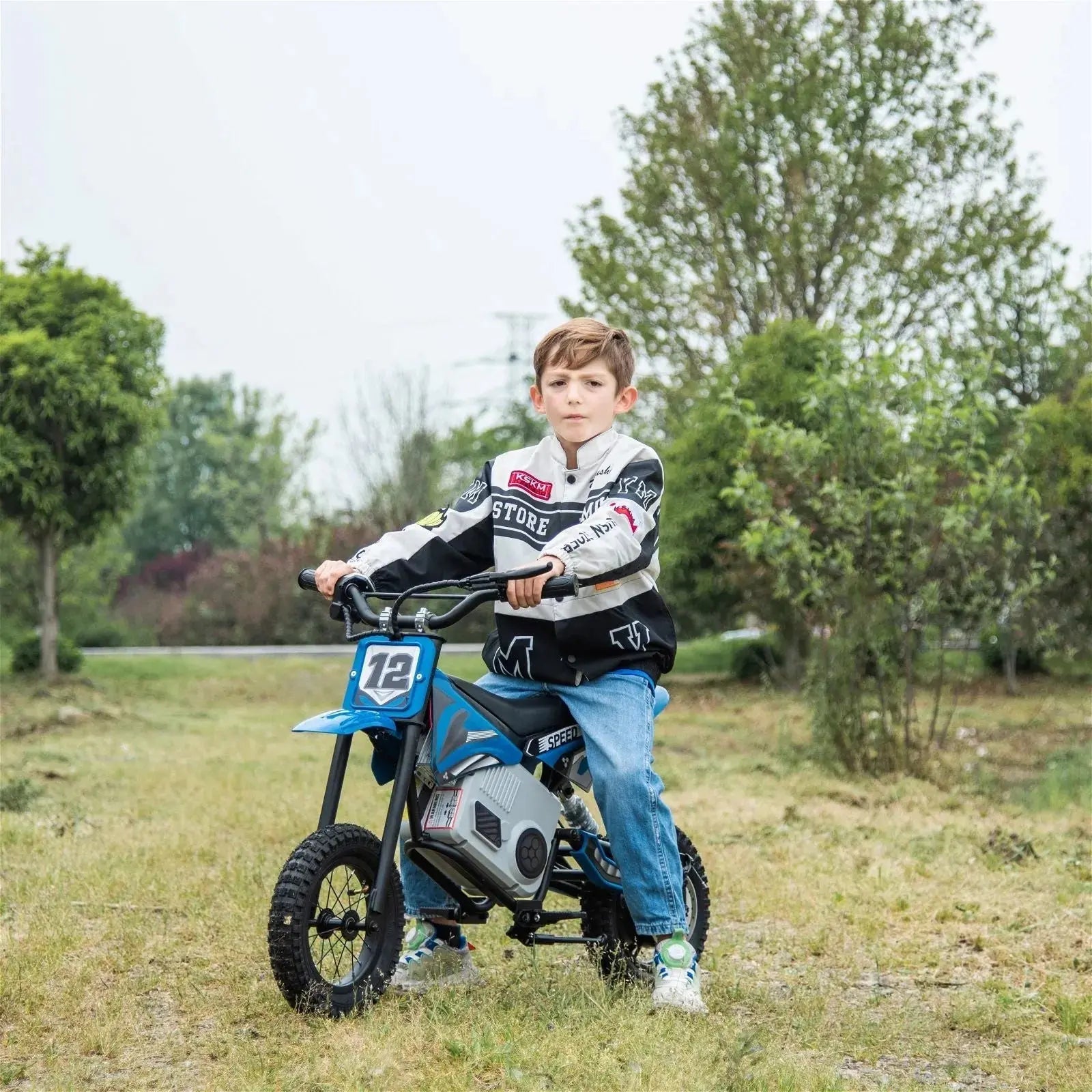 36V Freddo Electric Dirt Bike with Brushless Motor   