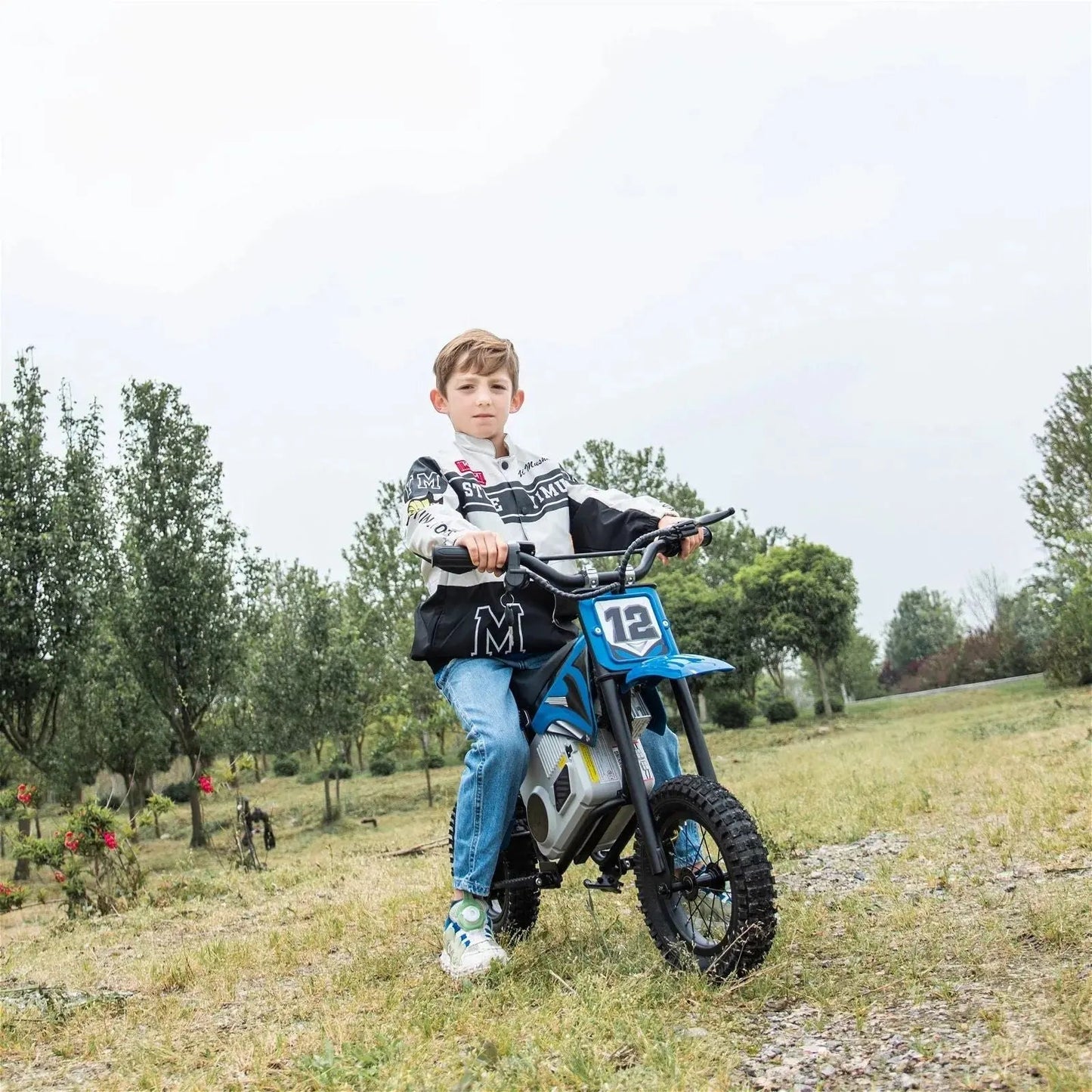 36V Electric Dirt Bike with Brushless Motor